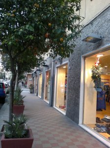 Eglīšu vietā lampiņas tiek karinātas mazajās palmiņās