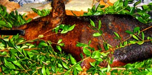 Mazā cūciņa. Tipiskākais sardu ēdiens un vis garšīgākais.