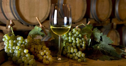 Vino bianco