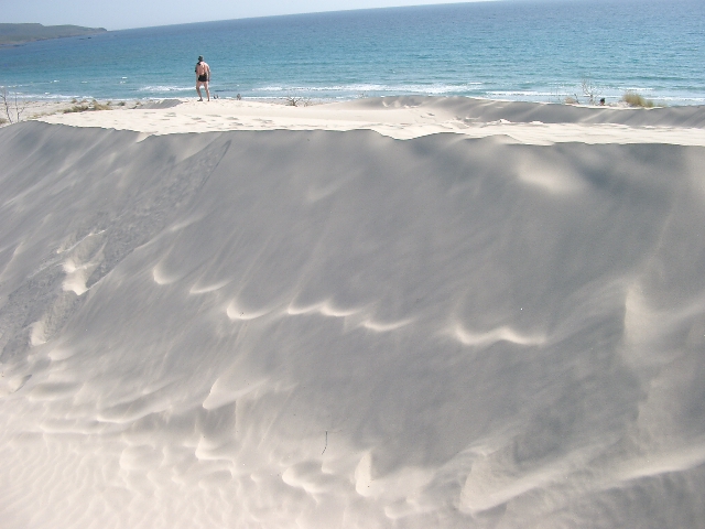 Baltās kāpas salas Dienvidos