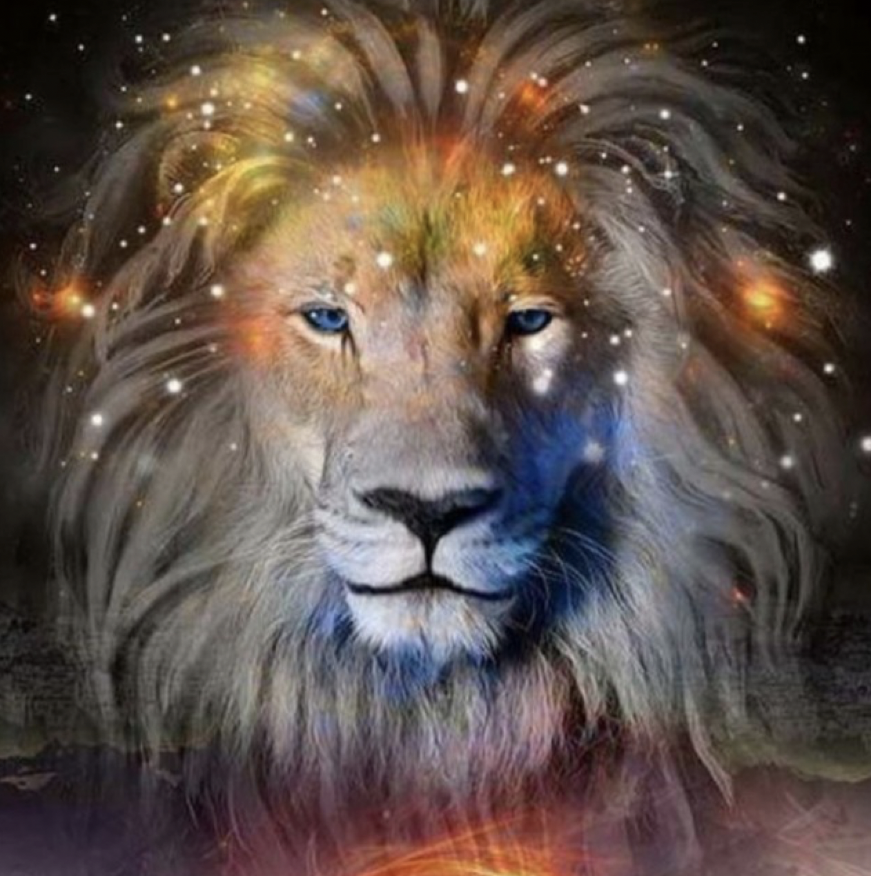 Schermata 2024-07-26 alle 11.05.33